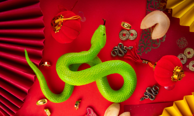 From Year of the Snake into the Year of the Horse